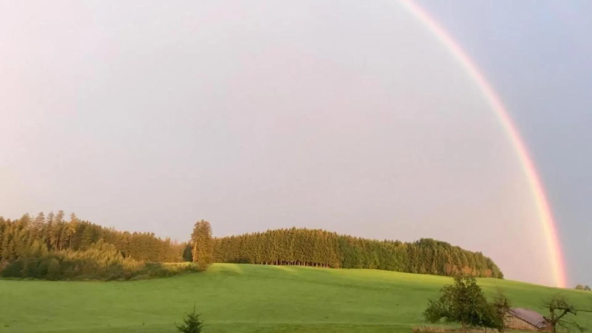 Apartment In Dietmannsried Near The Forest